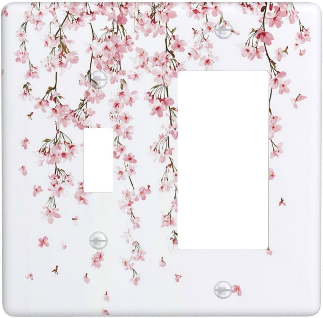 Wall Plates & Accessories