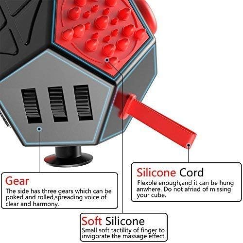 12 Sided Cube Toys,Fidget Dodecagon Toys Relief Stress,Autism Anxiety Depression for Kids and Adults (Red, Normal A4)