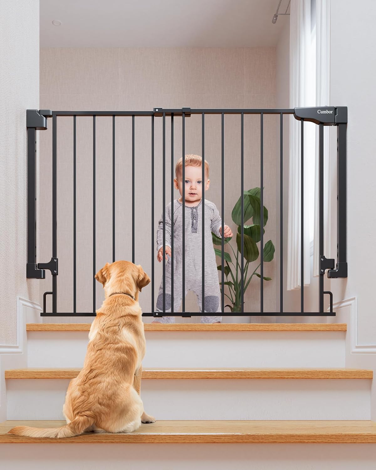 Cumbor 29.2-43" No Bottom Bar Baby Gate for Stairs, 2-in-1 Auto Close Dog Gate Indoor, Hardware Mounted Pet Gate for Doorways with Large Walk Thru Door, Child-Proof Safety Gate for Kids (Black)